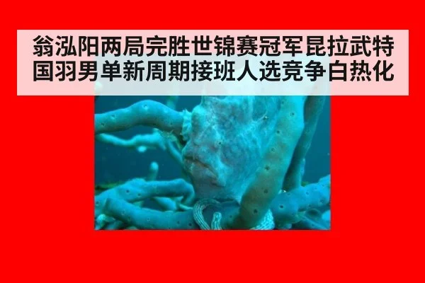 翁泓阳两局完胜世锦赛冠军昆拉武特 国羽男单新周期接班人选竞争白热化